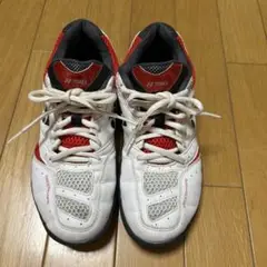 Item thumbnail for item 7aa9788a-146f-4193-98ad-20ac128b2e3e