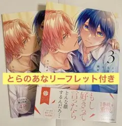 ただの友達じゃなくなる瞬間 ３/とらのあなリーフレット付き