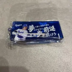中日ドラゴンズ　応援歌キーホルダー　岡林勇希