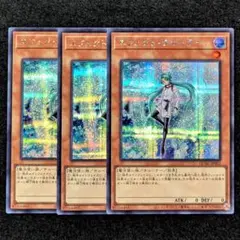 遊戯王 エフェクトヴェーラー シク3枚