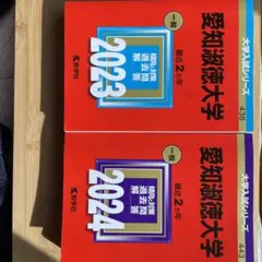 赤本 「愛知淑徳大学」過去問2023、2024