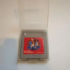 ポケットモンスター 赤 ゲームボーイソフト ケース付き