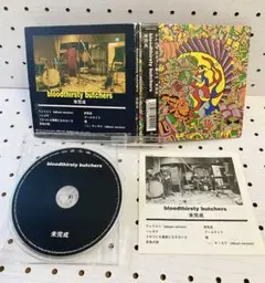 稀少 レコード 2枚組〔 Bloodthirsty Butchers 未完成 〕 稀少 レコード 2枚組〔 Bloodthirsty Butchers 未完成 〕