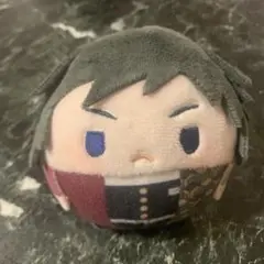 愛らしい冨岡義勇さん　ふわころりん
