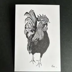 ボールペン画　にわとり