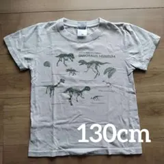 福井県立恐竜博物館　男の子　Ｔシャツ　130cm