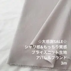 B7X/6985-02◆3m 感謝祭/ポリレーヨン混フライスニット生地/アパレル