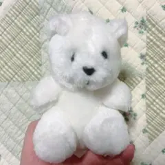 【本日発送可能◎】くま ぬいぐるみ シロクマ【お値下げ可能◎】