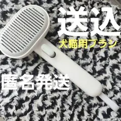 Item thumbnail for item c005c86b-a7ef-4262-85e6-c1fbe6b4b6b3