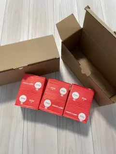 unico Astre 照明付属 白熱球 60w