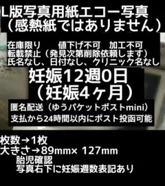 【値下げ不可】L版写真用紙　妊娠12週0日　エコー写真　妊娠初期　妊娠4ヶ月
