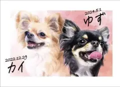 ペット似顔絵作成　ご希望の方はコメントへ　複数匹も◎フレーム付き
