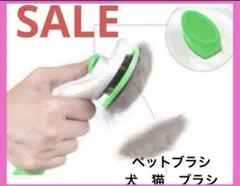 Item thumbnail for item 2844c251-0b19-47b1-9ff3-d75ba355ea1c