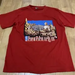 インドネシア　バリ島　デンパサール　ジャカルタ　tシャツ　メンズ　レディース