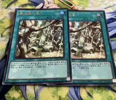 遊戯王 魔法族の里　ウルトラ2枚