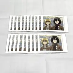 ✧ 進撃の巨人 ぱしゃこれ ミカサ アルミン 19枚 ✧