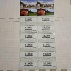 ベルーナ 株主優待券 12000円分