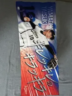 山岡泰輔ハイブリッドタオル