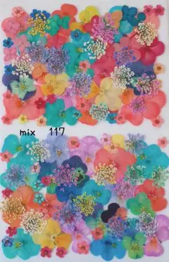 押し花mix　117