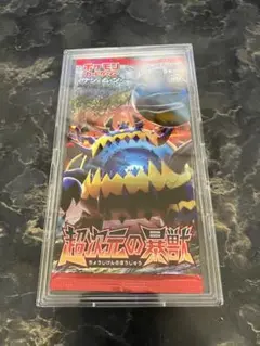 超次元の暴獣　未開封パック