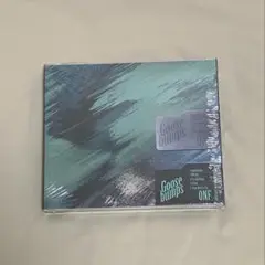 オネノプ ONF CD goosebumps