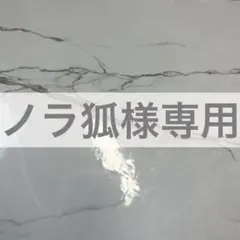 ノラ狐様