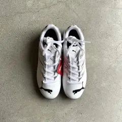 プーマ（PUMA）ジュニアサッカーインドアトレーニングシューズ 【22.5cm】