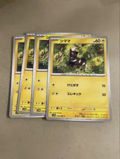 シママ　４枚