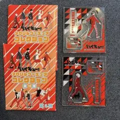 ハイキュー アクリルフィギュアコレクション 猫又監督 芝山
