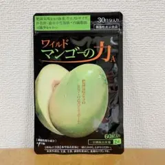 なおこ様専用 亀山堂 ワイルドマンゴーの力