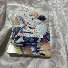 恋の弦は離れられない BL漫画 コミック すけやま