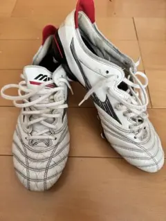 MIZUNO モレリアネオ3 JAPAN MIX 取替式