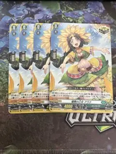 憧憬の乙女 アラナ 4枚セット