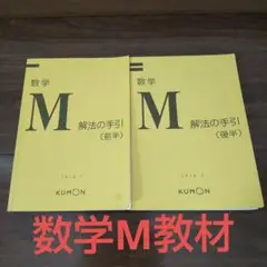 公文　解法の手引き　2冊　教材20枚 MとNです 公文解法の手引き2冊教材20枚 MとNです