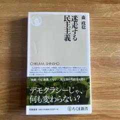迷走する民主主義