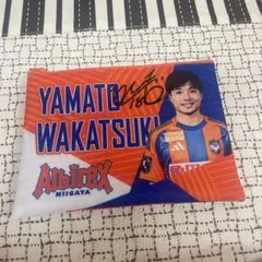 アルビレックス新潟　フラットポーチ #18 若月大和選手