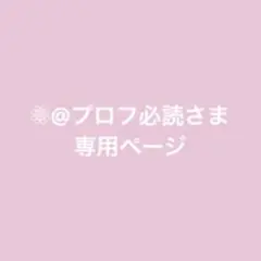 ❁⃘@プロフ必読さま専用ページ