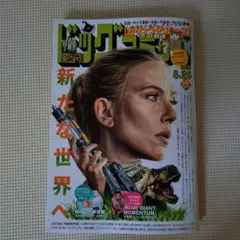 ビッグコミック2025年16号