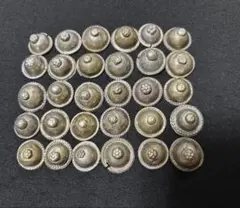 トライバルベリーダンス DIY用トルクメンボタン30個