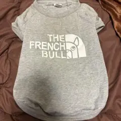 Item thumbnail for item 2dc964a1-25d4-4678-a58e-5d2d7f854f40