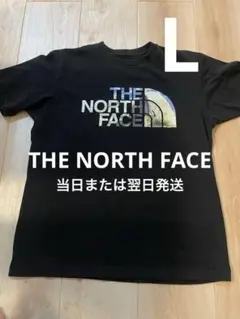 【当日または翌日発送】 THE NORTH FACE ブラック Tシャツ L