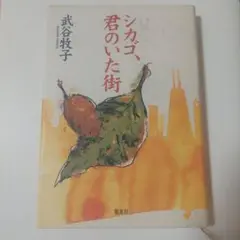 書籍 小説 武谷 牧子 シカゴ、君のいた街 武谷牧子 シカゴ君のいた街