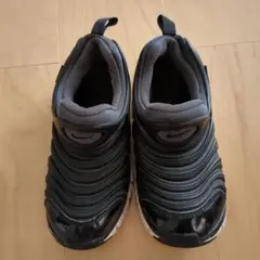 Nike ダイナモフリー　 ブラック　20cm