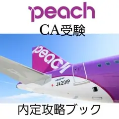 【Peach内定攻略本】CA受験 ピーチアビエーション エアライン 客室乗務員