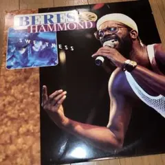 BERES HAMMOND - SWEETNESS 12インチ レコード