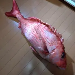 90センチ リアル 鯛 ぬいぐるみ サテン BIG