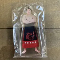 【匿名配送】大相撲ガチャ 十両力士アクリルスタンド 大青山
