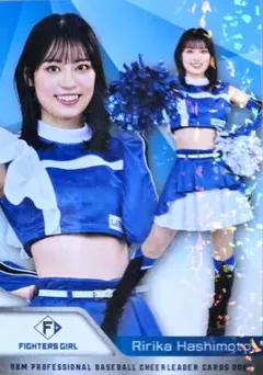 Item thumbnail for item f2d0a1eb-d08d-4ccd-99a9-1cd17c748c65