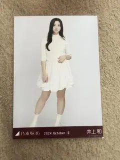 乃木坂46 生写真　バルーンスカート　井上和　ヒキ