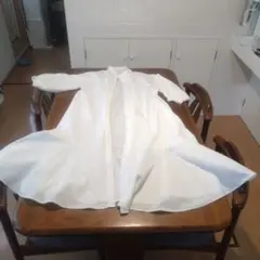 上品なホワイトフレアシャツ